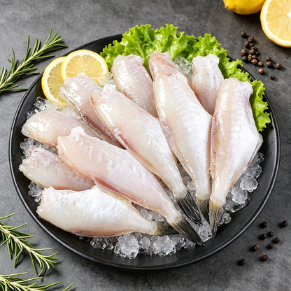 Frozen Small Leatherjacket Fish